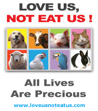 Love Us Not Eat Us
