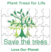 Save Trees