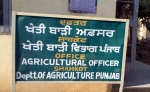 Punjab Agriculture Department Shahkot