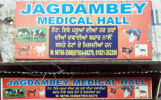 Jagdambay Medical Hall